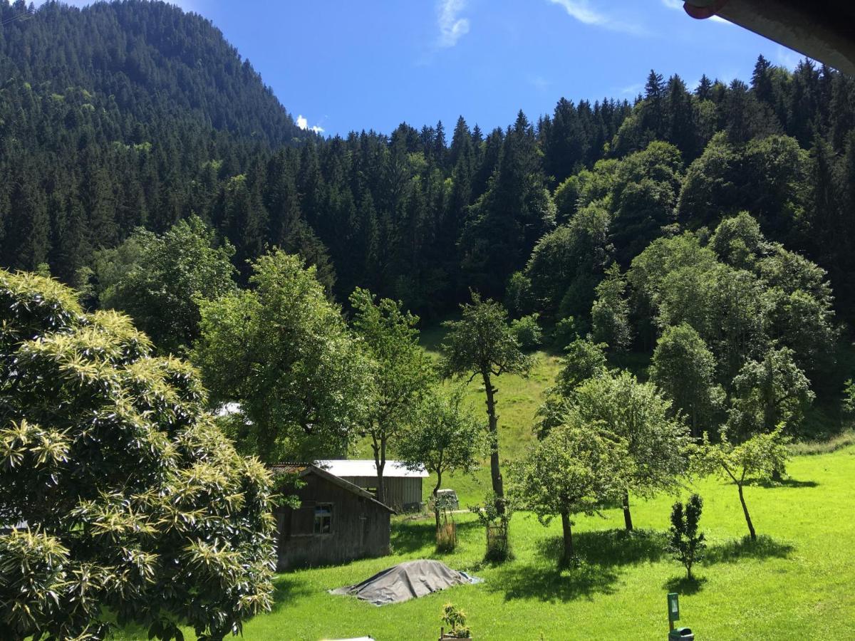 Haus Galgenul Apartman Sankt Gallenkirch Kültér fotó